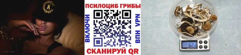 Купить закладки  Краснодар  Псилоцибиновые грибы мицелий 